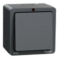 SCHNEIDER Lisse Weatherproof 1 Gang 2 way 10AX switch