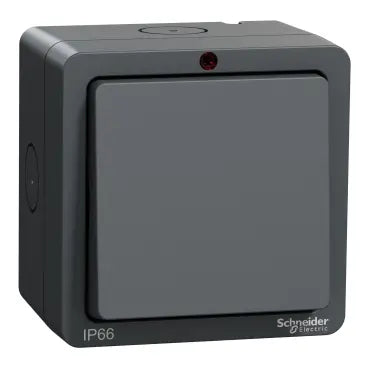 SCHNEIDER Lisse Weatherproof 1 Gang 2 way 10AX switch