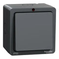SCHNEIDER Lisse Weatherproof 1 Gang intermediate 10AX switch