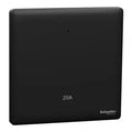SCHNEIDER 20A 1 Gang DP with LED & Earth Jet Black