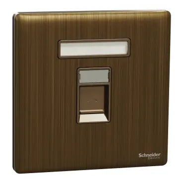 SCHNEIDER 1 Gang wall plate (without module) Antique Brass