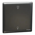 SCHNEIDER 250W 1 Gang dimmer Dark Grey