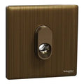 SCHNEIDER 25A Terminal Connection Antique Brass
