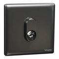 SCHNEIDER 25A Terminal Connection Dark Grey