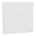 SCHNEIDER 10A 250V 1 Gang Press Switch Painted White