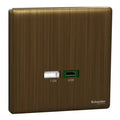 SCHNEIDER USB Charger USB A + USB C Antique Brass