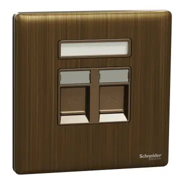 SCHNEIDER 2 Gang wall plate (without module) Antique Brass