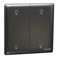 SCHNEIDER 250W 2 Gang dimmer Dark Grey