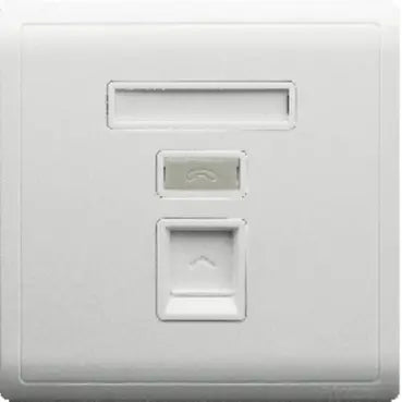 SCHNEIDER 1 Gang Tel Socket White