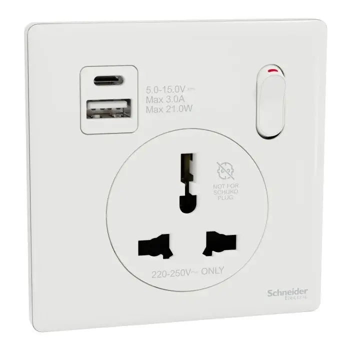SCHNEIDER 16A 1 Gang International socket with USB Painted White